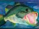 State Fish Art Contest for Students Ends March 31