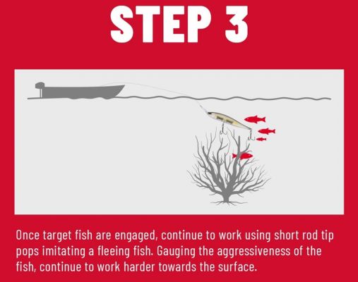 Then work the bait up and away from your target to imitate a natural fleeing motion for fish to&nbsp;...