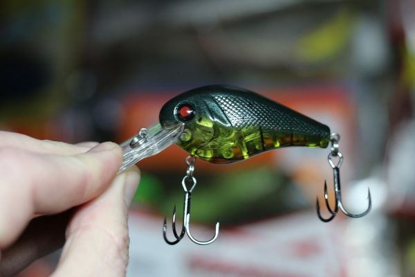 Wild Thang
This compact bait perfectly imitates a crawfish scooting along the bottom. It comes in two sizes and each have a bill with a big angle to get them down quickly.