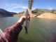 Lake Oroville Fishing Report | This Week March 30