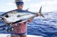 Saltwater Rods: Thin, Light and Huge on Power