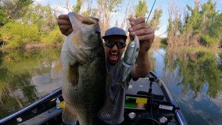 Clear Lake: Will A Spanish Designed Swimbait Translate Into Big Bass For USA Anglers?
