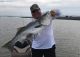 Delta Report….  Striper Fishing Goes Again Off This week!