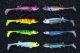 The definition of fish candy