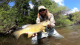 Bass Fishing USA