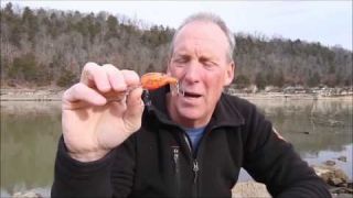 LIVETARGET HFC Hunt For Center Crawfish Series