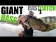 Quick Clip Huge 10lb Bass on Snag Proof Ish Frog