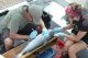How Scientists Track Fish