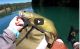 Trinity Lake California Bass Fishing VIDEO