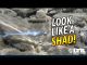 Tackle How-To: Fish Shad Baits  #LTB