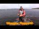 Whopper Plopper at Bassmaster Elite Series Toledo Bend 2016