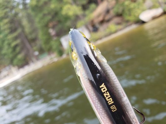 Fishing the 3DR Pencil
The bait walks with ease and can be fished on both monofilament and braided line. 
The tight walking action helps to prevent a braided line from wrapping around the front treble hook, which can be the case with some other walking topwater baits.
Fished on 40-pound braid, it can cast a great distance to reach schooling fish or other far away targets.
READ RELATED: 6 Best Yo-Zuri and Duel Hard Baits for Cold Water Bassin&rsquo;