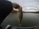 Fishing Oroville Lake in Low Water Conditions | November 11