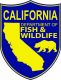 Fishing, Hunting Report Card Data for Many Species Due Jan. 31