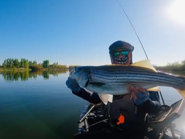 My Biggest Bass of 2025 from the California Delta and Clear Lake - BIGGEST BASS & New Striper PB of 2025