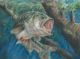 Students From Across America Win Top National Honors in 18th Annual State-Fish Art Contest