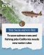 Does California need new water rules to save salmon runs and fishing jobs?