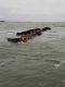 Coast Guard investigators at Delta Bay area sunken barge cleanup