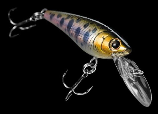 DAIWA SC SHAD
The fishing market&rsquo;s comeback kid, Daiwa is reintroducing the prolific and petite SC Shad, a shad-style crankbait like none other.
You&rsquo;ll immediately appreciate its picture-perfect-profile, a dead ringer for the real thing. Equally exquisite is the SC Shad&rsquo;s signature wobble. There are numbers of other realistic looking shad-style baits, but none tuned this perfectly and capable of summoning so many bites. Fish them head-to-head. You&rsquo;ll appreciate the results.
At only 2 inches long and 1/8-ounce, Daiwa&rsquo;s SC Shad ideally matches adolescent shad, which are mainstay forage for freshwater gamefish. Typically schooled, young shad often ball-up just beneath the surface. To that point, the SC Shad dives only 1- to 2-feet on the&nbsp;cast, modestly deeper when trolled.&nbsp;&nbsp;
The SC Shad&nbsp;casts&nbsp;to perfection as well. An internal counter buoyance sound weight not only stabilizes the bait but adds an alluring sonic rhythm. And when it&rsquo;s time to set, know that a pair of VMC #12 treble hooks are up to the task.
Daiwa recommends 6- or 15-lb. test J-Braid x8 braided line to maximize running depth and sensitivity, along with an 18- to 24-inch J-Fluoro fluorocarbon leader.&nbsp;
The dynamic SC Shad is available in both natural and eye-popping colors. Prism Shad, Rainbow Trout, Himenmasu and Crystal Black Pearl get the call when matching native forage, while Gold Orange and Bubble Gum demand to be seen.
Beyond bass &ndash; largemouth, smallmouth and spotted &ndash; Daiwa&rsquo;s SC Shad is effective on walleyes, trout and outsized panfish.&nbsp;
MSRP $9.99