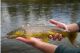 Paid to fish for an invasive species in the Grand Canyon. Here's how...