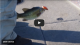 SuperBowl LII Winter Delta Fishing | Video From the Water