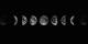 NIght Fishing: Best moon phase convo