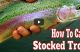 How To Catch Stocked Trout Tutorial VIDEO