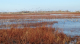 Volunteer Cleanup Scheduled Upper Butte Basin Wildlife Area