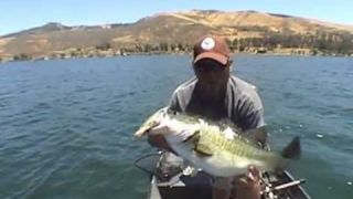 Deps 250 slideswimmer Butch Brown