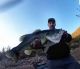 12 pounder from DVL