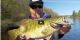 Mimmick a Baitfish to Catch More Bass | VIDEO