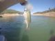 Fishing Lake Oroville | July 26