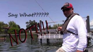 Lost Senko Fish Meltdown Bobby Barrack