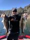 New Melones Spotted Bass Double