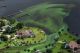 Lake Okeechobee Covered in Vast Algae Bloom
