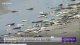 Thousands of dead fish washed up in Texas