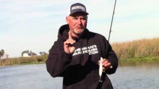 Heddon and Cotton Cordell | Fall Topwater Bite is On! Bobby Barrack for Fisherman's Warehouse