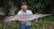 NEW state record for catching a 17.9-pound longnose gar