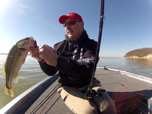 For many, winter&rsquo;s time to hang up the bass gear and wait until spring ushers in warmer waters and the magic of the pre-spawn period.&nbsp;
But for others, like B.A.S.S. pro Mark Menendez, winter represents a great time to focus on large bass, albeit in conditions that require more substantial clothing and thinking outside the warm weather bass box in terms of fish behavior, location, and presentation choices.
&ldquo;There are three ways I really enjoy fishing winter bass and a couple deviate from what most of the crowd does,&rdquo; says Menendez. &ldquo;The first is I love to crank a crankbait in winter. Secondly, one of my specialties is fishing a suspended jerkbait, and the final way&mdash;which nobody seems to fish anymore but I have the gray hair to remember how effective it is&mdash;is fishing a curly-tail grub.&rdquo;
All three techniques play into his focus on main lake structure when fishing winter bass. &ldquo;This goes against the grain with what most anglers think about winter bass fishing, that all bass end up deep, but that&rsquo;s not necessarily true,&rdquo; says Menendez. &ldquo;What winter bass want is the shallow availability to get a bite to eat and then move to deep water to metabolize that food. Another thing anglers forget is cold water affects big bass less than smaller fish. Big bass are just like us, in that when you go to the buffet restaurant you&rsquo;re trying the get the biggest meal possible for the least amount of energy extended, so that&rsquo;s why I always like to sit right next to the buffet. When the water&rsquo;s cold, big bass are the same way. That&rsquo;s why they target gizzard shad, perch, and bluegills first rather than chasing threadfin shad, shiners, or those smaller minnows because they want to get the biggest meal possible so they don&rsquo;t have to feed for two or three days with their metabolism being so slow.&rdquo;
That said, when winter bass fishing, Menendez is constantly on the lookout for any kind of shallow flat, ledge, or other shallow area with deep water next to it. &ldquo;You have to remember that in winter, bass are feeding in a vertical manner, moving up and down in the water column instead of moving long distances laterally to the backs of creeks and things like that. So I&rsquo;m basically fishing main lake oriented structure in the winter with vertical-oriented techniques.&rdquo;&nbsp;