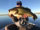 12 Pounder from the Delta