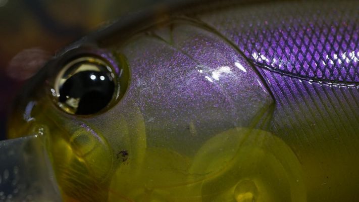 





COLOR




click grid image to zoom


&nbsp;













#103&nbsp;
Blue-Gill











#104
Chartreuse Shad











#117
Chartruese Smash











#121
Hot Craw















#132
Hot Shad











#147
Blue Sexy Shad











#159
Citrus Shad











#163
Silver Lining















#175
Fred&rsquo;s Perch











#178
Watermelon Craw











#184
Green Gizzard Shad











#193
Sun Granny















#194
Delta Fire Craw




&nbsp;
&nbsp;
&nbsp;

