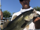 Fishing Clear Lake This Week Sept 19