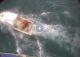 SoCal Shark Attack