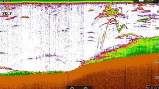 How to Take a Screenshot on Lowrance HDS Units
