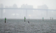 Pacific Ocean temperatures are rising