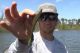 5" D-Shad: Aggressive Action with Senko-Like Sink