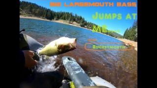 Big FISH Jumps Fights like crazy Right at the Boat