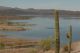 Dropping lake level at Alamo Lake