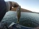 Fishing Oroville Lake in Low Water Conditions | October 25