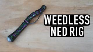 Mike Iaconelli's Plastic Rigging
